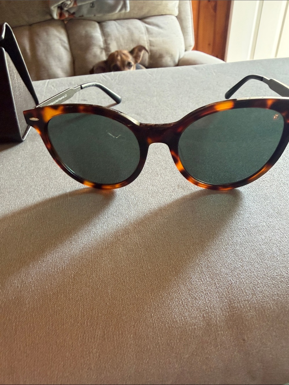 Patricia Nash Tortoiseshell Round Sunglasses with Green Lenses